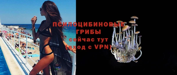 СК Арсеньев