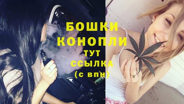 прущий лед Пересвет