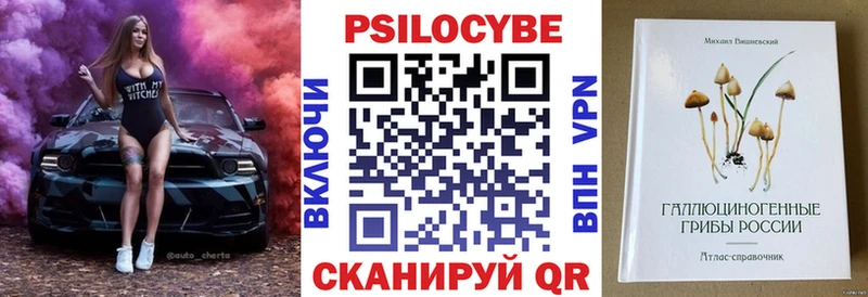 mega tor Байкальск Галлюциногенные грибы GOLDEN TEACHER